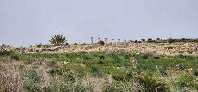 The Roman ruins of Volubilis was definitely the creshendo of the day.  An unexpected surprise.  The mosaic of the 12 tri