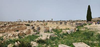 The Roman ruins of Volubilis was definitely the creshendo of the day.  An unexpected surprise.  The mosaic of the 12 tri