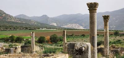 The Roman ruins of Volubilis was definitely the creshendo of the day.  An unexpected surprise.  The mosaic of the 12 tri