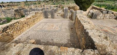 The Roman ruins of Volubilis was definitely the creshendo of the day.  An unexpected surprise.  The mosaic of the 12 tri