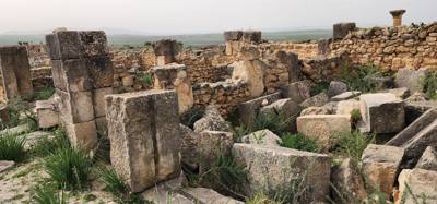 The Roman ruins of Volubilis was definitely the creshendo of the day. An unexpected surprise. The mosaic of the 12 tri