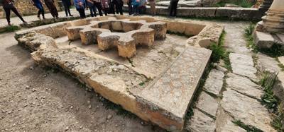 The Roman ruins of Volubilis was definitely the creshendo of the day. An unexpected surprise. The mosaic of the 12 tri