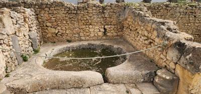 The Roman ruins of Volubilis was definitely the creshendo of the day. An unexpected surprise. The mosaic of the 12 tri