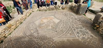 The Roman ruins of Volubilis was definitely the creshendo of the day. An unexpected surprise. The mosaic of the 12 tri