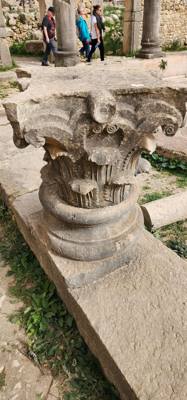 The Roman ruins of Volubilis was definitely the creshendo of the day. An unexpected surprise. The mosaic of the 12 tri