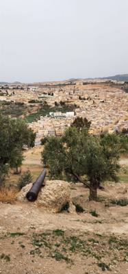 Views from the South Tower in Fes. You can see all three parts off the city from here.