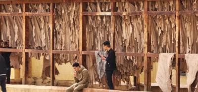 The visit to the leather area of the Fes Medina market was interesting. They cure and dye the leather in these big pots