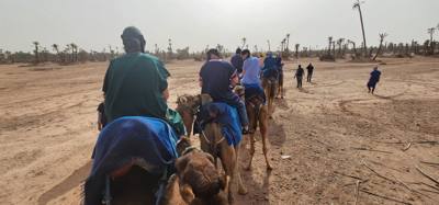 What did you do this afternoon?  Not much, just rode camels in Morocco.
