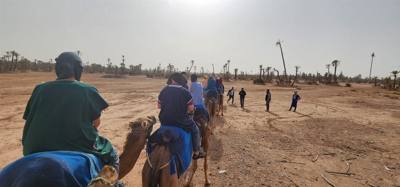 What did you do this afternoon?  Not much, just rode camels in Morocco.