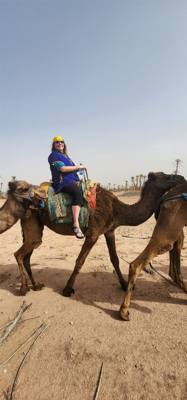 What did you do this afternoon?  Not much, just rode camels in Morocco.