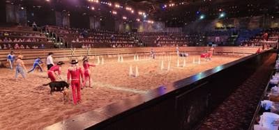 Ended the last night in the Ozarks/Branson at Dolly's Stampede.  Front row seats right by the action too.  Don't be jell