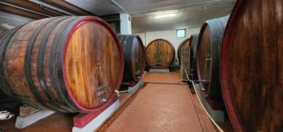 Visited the Fattoria del Teso winery.  Learned a little.  Ate a little.  Drank a little.  Great little stop and beautifu