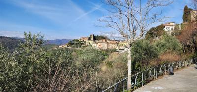 Travel photo