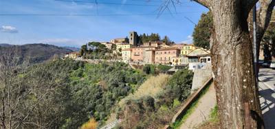 Fun drive up to Montecatini Alto. Might need to pull Julie's fingernails out of the dash. Roads are pretty thin around
