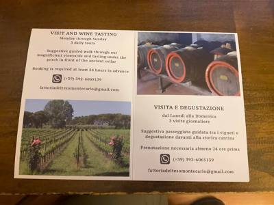 Visited the Fattoria del Teso winery.  Learned a little.  Ate a little.  Drank a little.  Great little stop and beautifu