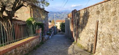 Travel photo