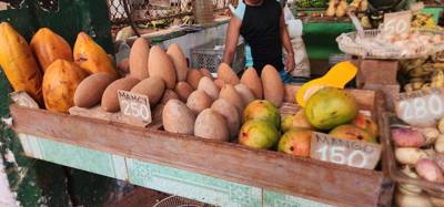Part 2 of our Havana, Cuba walking tour. So much to see. The farmers market was sensory overload. The smell of fresh