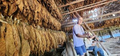 Day trip to Vinales.  Got to hang out with some very cool and hard working farmers.  Myself and another gal got dehydrat