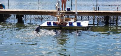Second stop today.  The Dolphin Research Center.  Make sure you look at the event schedule when you first get here.  The