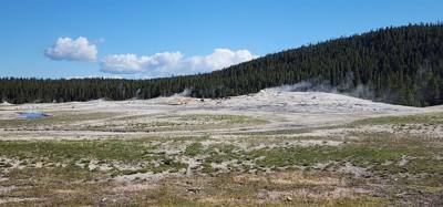 A lot of vibrant colors in some of those pools.  Lots to see here.  I couldn't get Avery to go pet a bison.  He must be 