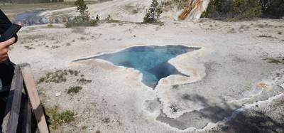 A lot of vibrant colors in some of those pools.  Lots to see here.  I couldn't get Avery to go pet a bison.  He must be 