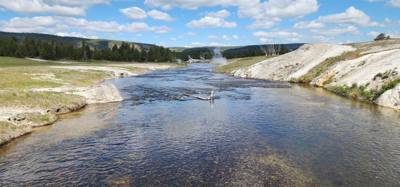 A lot of vibrant colors in some of those pools.  Lots to see here.  I couldn't get Avery to go pet a bison.  He must be 