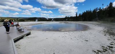 A lot of vibrant colors in some of those pools.  Lots to see here.  I couldn't get Avery to go pet a bison.  He must be 