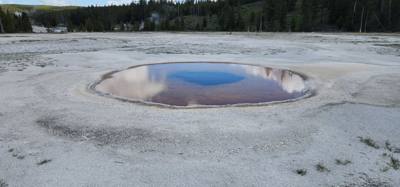 A lot of vibrant colors in some of those pools.  Lots to see here.  I couldn't get Avery to go pet a bison.  He must be 