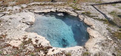 A lot of vibrant colors in some of those pools.  Lots to see here.  I couldn't get Avery to go pet a bison.  He must be 