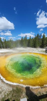 A lot of vibrant colors in some of those pools.  Lots to see here.  I couldn't get Avery to go pet a bison.  He must be 