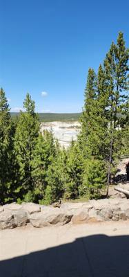 Last stop of day 1 in Yellowstone.