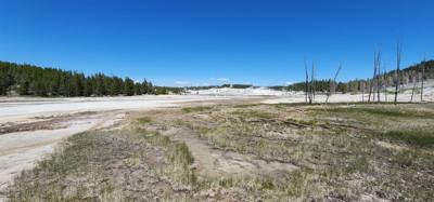 Last stop of day 1 in Yellowstone.