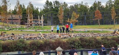 On our way from Island Park, ID to Victor, ID we decided to stop at the Grizzly and Wolf Center.  The wolves are pretty 