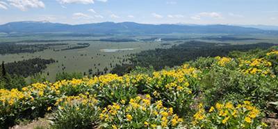 Took a side road to the Signal Mountain Summit. Great views as with everywhere around here. The mobile phone tower mig