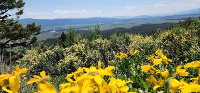 Took a side road to the Signal Mountain Summit. Great views as with everywhere around here. The mobile phone tower mig