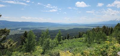 Took a side road to the Signal Mountain Summit. Great views as with everywhere around here. The mobile phone tower mig
