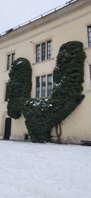 Wawel Castle as part of our walking tour of Old Town Krakow this morning.