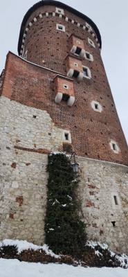Wawel Castle as part of our walking tour of Old Town Krakow this morning.