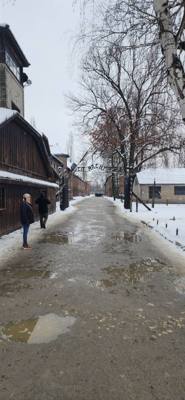We took tours of both Auschwitz and Birkenau this afternoon.  So humbling.  I took photos where we were permitted but af