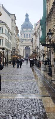 St Stephen's Basilica was on the agenda.  Beautiful place.  I didn't have 'mummified hand' on my bingo card but there it