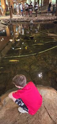 Definitely the most unique Bass Pro Shop we've been to.  Guess we can check 'sports and outdoors shop in a pyramid' off 