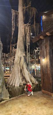 Definitely the most unique Bass Pro Shop we've been to.  Guess we can check 'sports and outdoors shop in a pyramid' off 