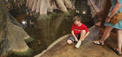Definitely the most unique Bass Pro Shop we've been to.  Guess we can check 'sports and outdoors shop in a pyramid' off 