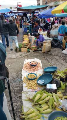 So today was a planned trip to Otavalo which is the largest outdoor market in South America. On the way we saw some vol