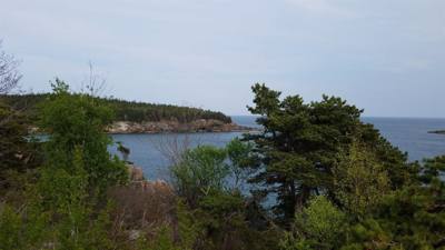 Tonight before dinner we went for a walk along Ocean Path.  This is by Sand Beach in Acadia.  Beautiful walk along the c