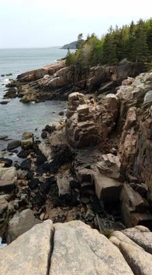 Tonight before dinner we went for a walk along Ocean Path.  This is by Sand Beach in Acadia.  Beautiful walk along the c