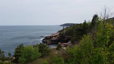 Tonight before dinner we went for a walk along Ocean Path.  This is by Sand Beach in Acadia.  Beautiful walk along the c