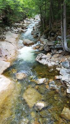 Hike up Flume Gorge in White Mountain National Park today.  Great hike with lots of waterfalls.  Couldn't have asked for