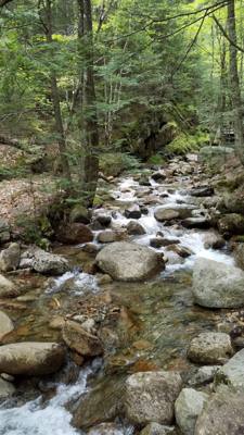 Hike up Flume Gorge in White Mountain National Park today.  Great hike with lots of waterfalls.  Couldn't have asked for