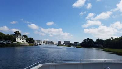 So the dolphin watching wasn't on our agenda....but the Virginia Aquarium & Marine Science Center had it....so we did it